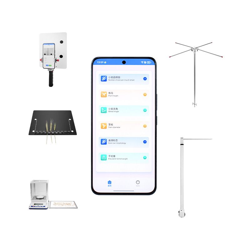 小麦表型分析系统