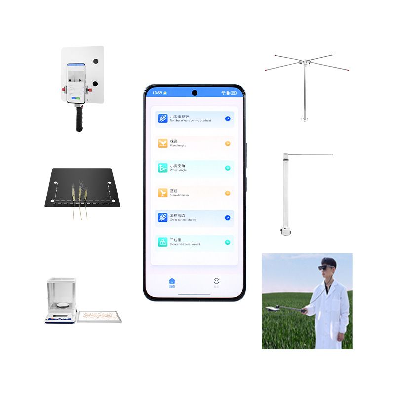 小麦表型分析仪