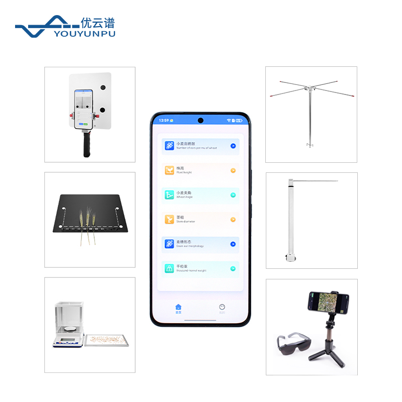 小麦表型分析系统：精准解锁育种关键性状的智能之眼